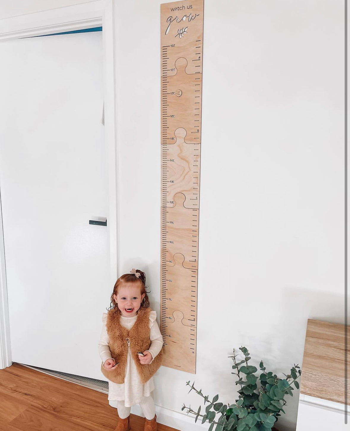 Family Height Ruler