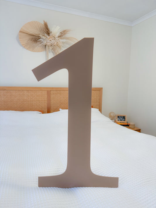 Free Standing individual Numbers or Letters