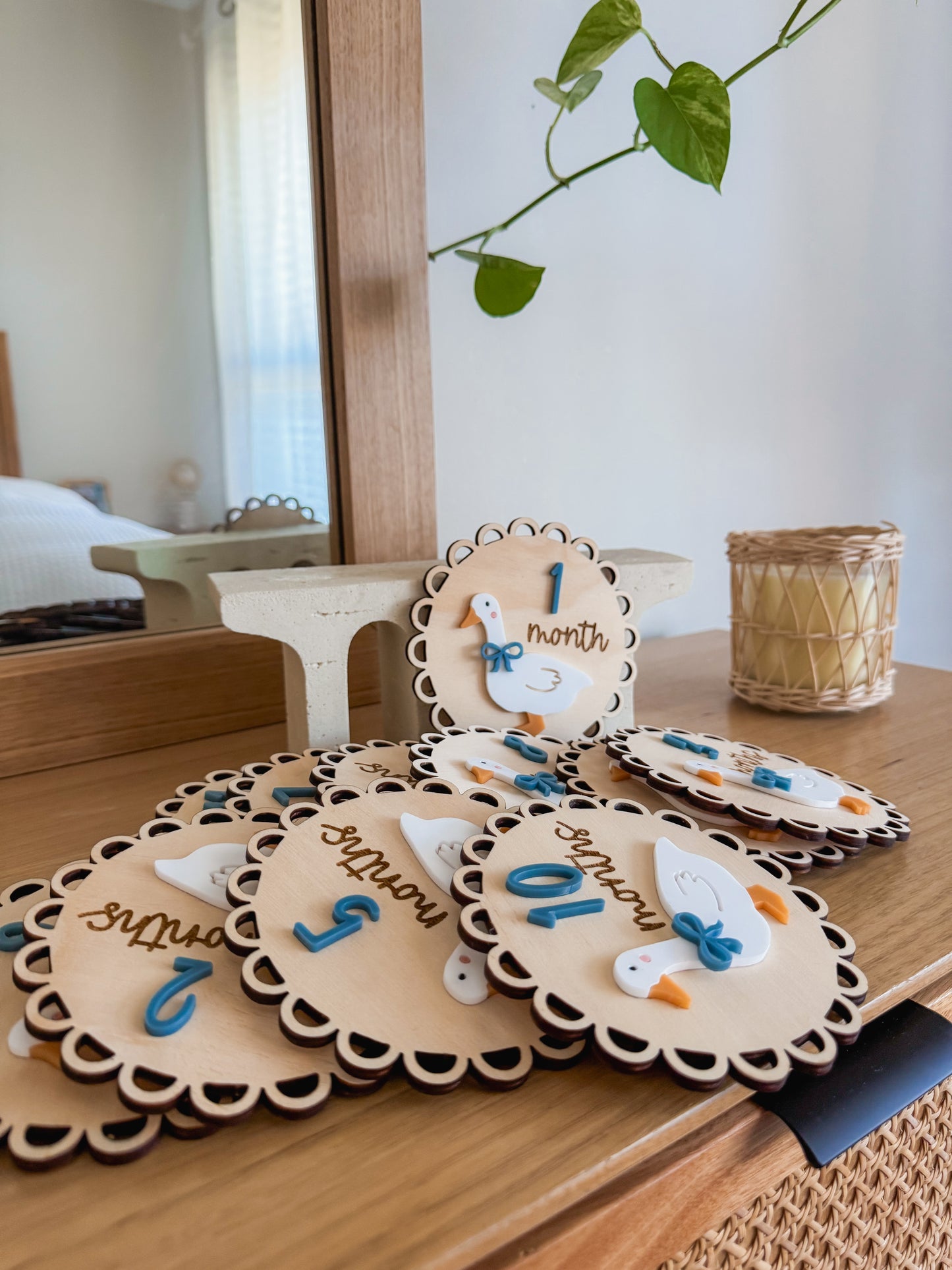 Acrylic Milestone Set | geese